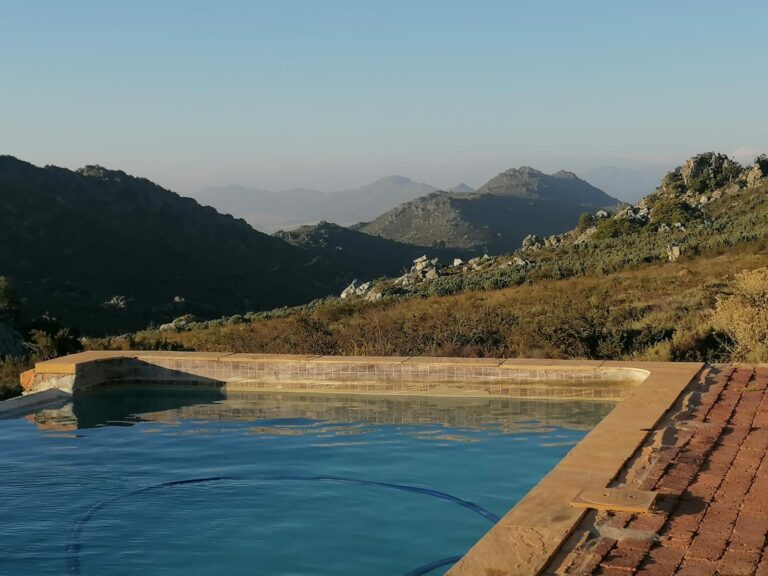 Restio Pool 768x576